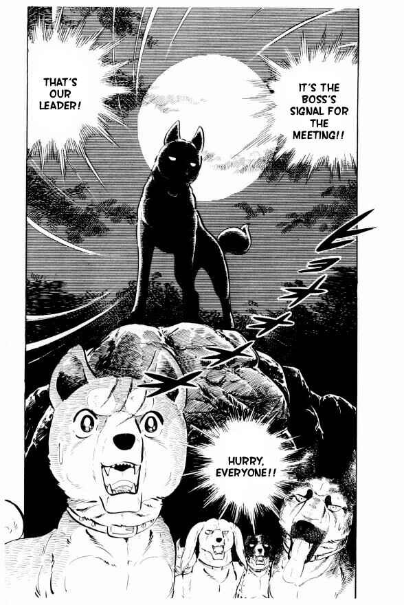 Silver Fang – The Shooting Star Gin – Chapter 10 - Page 61