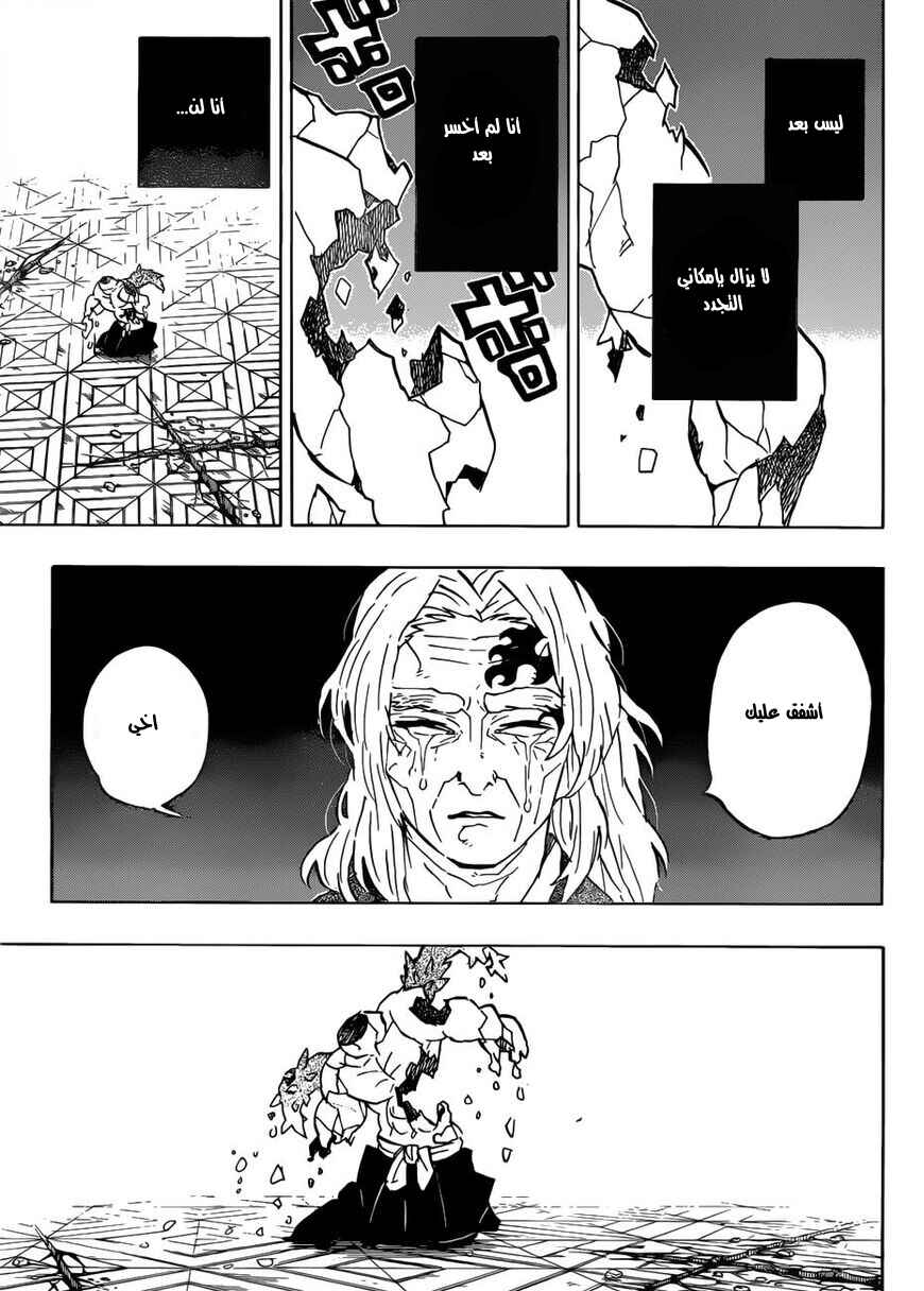 Demon Slayer: Kimetsu no Yaiba Chapter 176 - Page 17