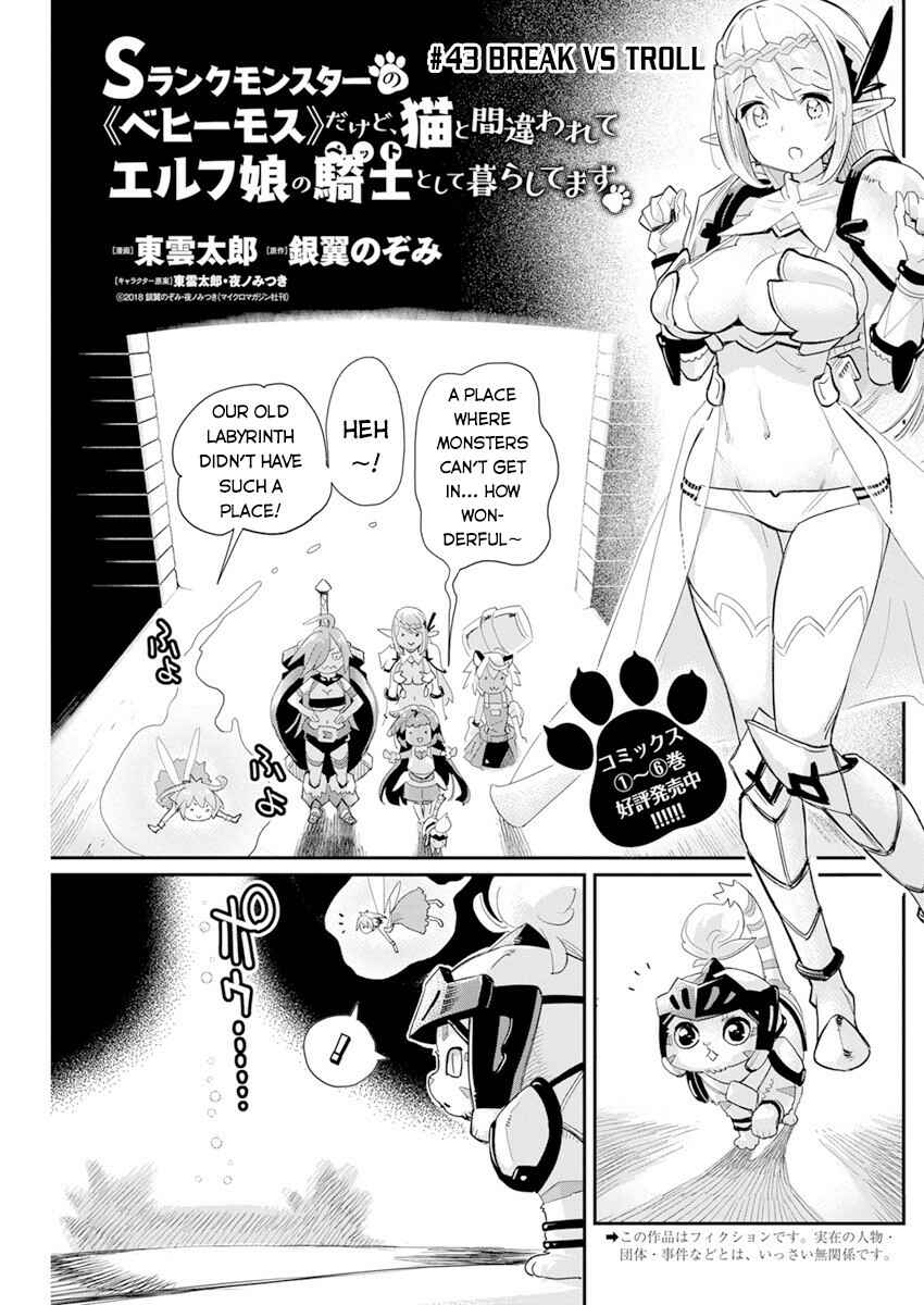 S-Rank Monster no "Behemoth" dakedo, Neko to Machigawarete Elf Musume no Pet to Shite Kurashitemasu Chapter 43 - Page 2