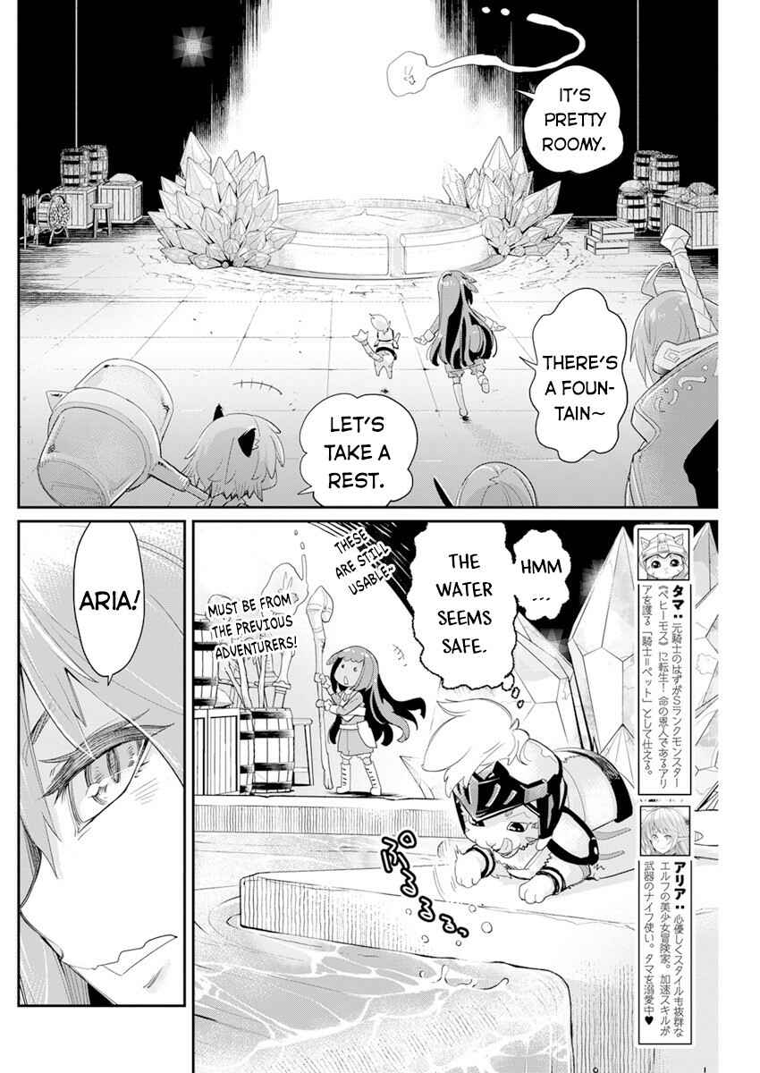 S-Rank Monster no "Behemoth" dakedo, Neko to Machigawarete Elf Musume no Pet to Shite Kurashitemasu Chapter 43 - Page 3