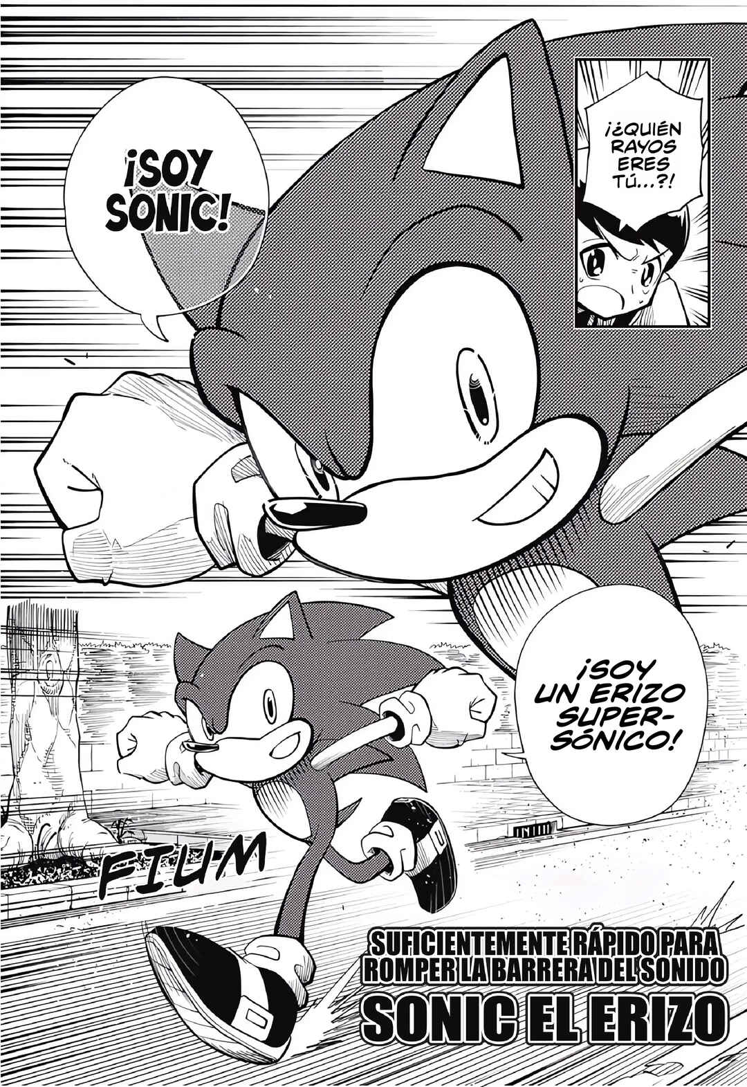 Sonic to Yuuki no Tsurugi Chapter 1 - Page 10