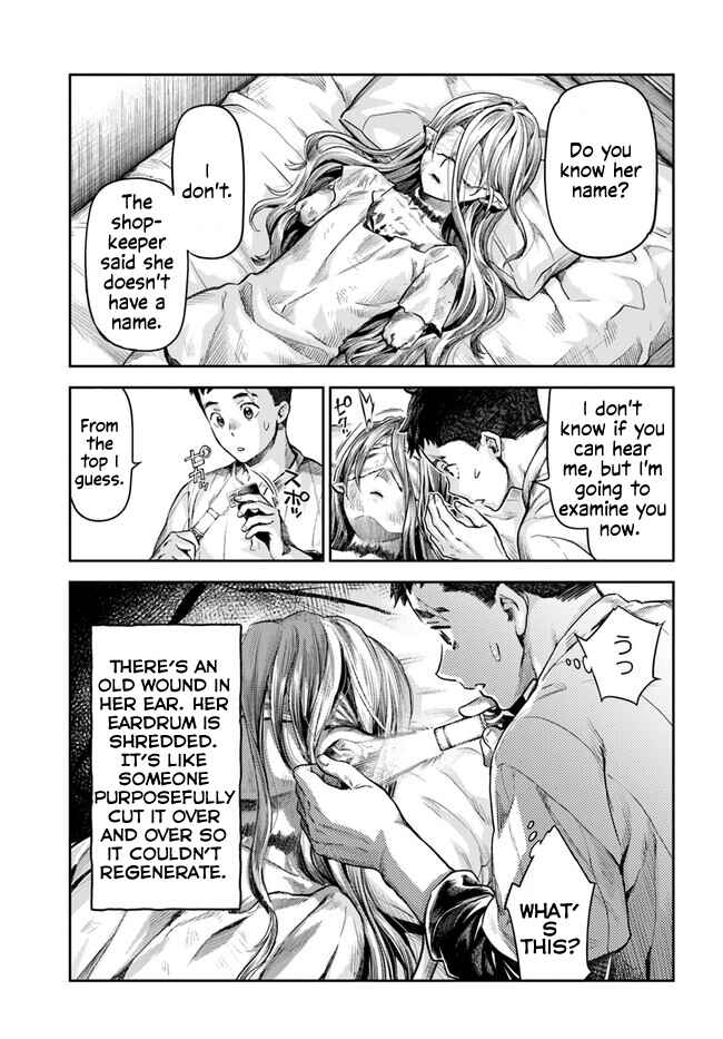 Nisemono no Renkinjutsushi Chapter 1 - Page 17