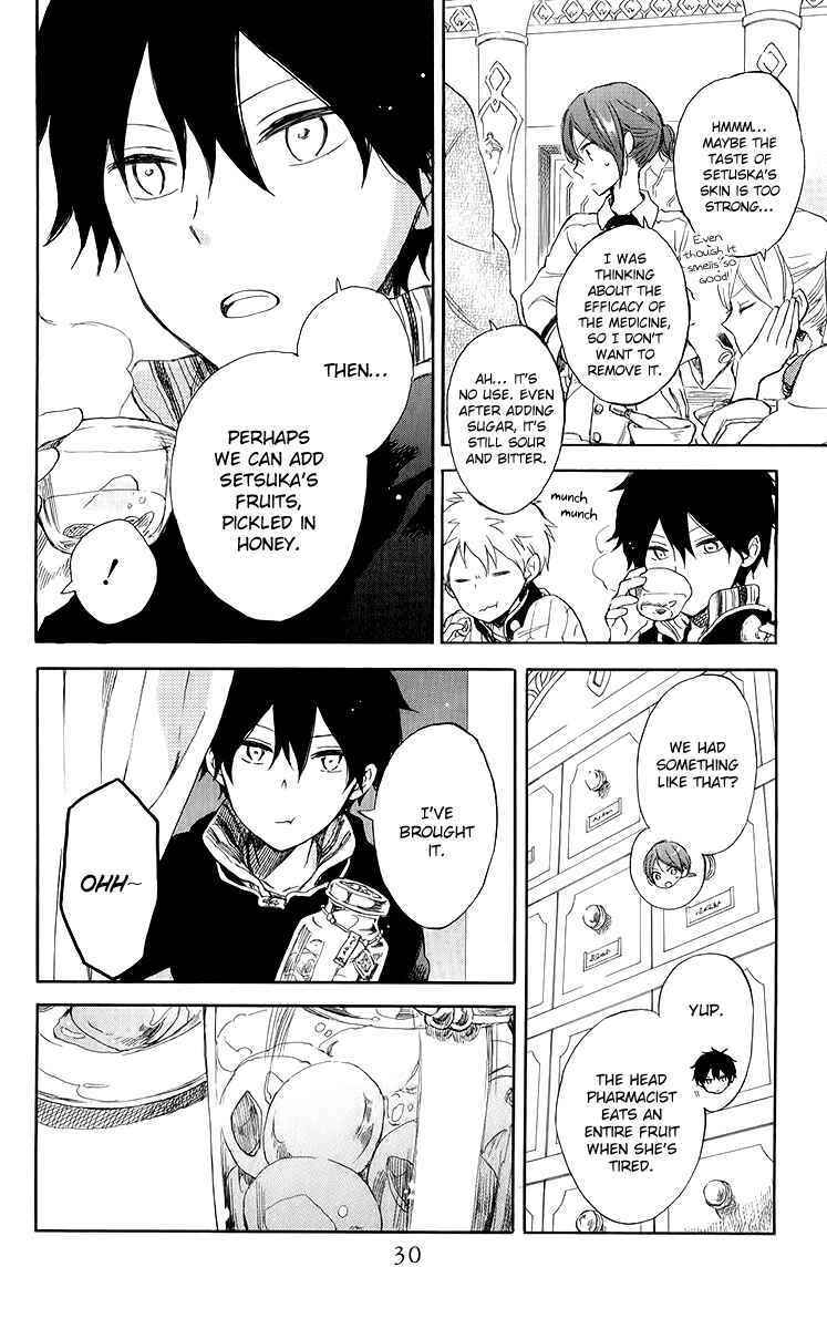 Akagami no Shirayukihime Chapter 45 - Page 30