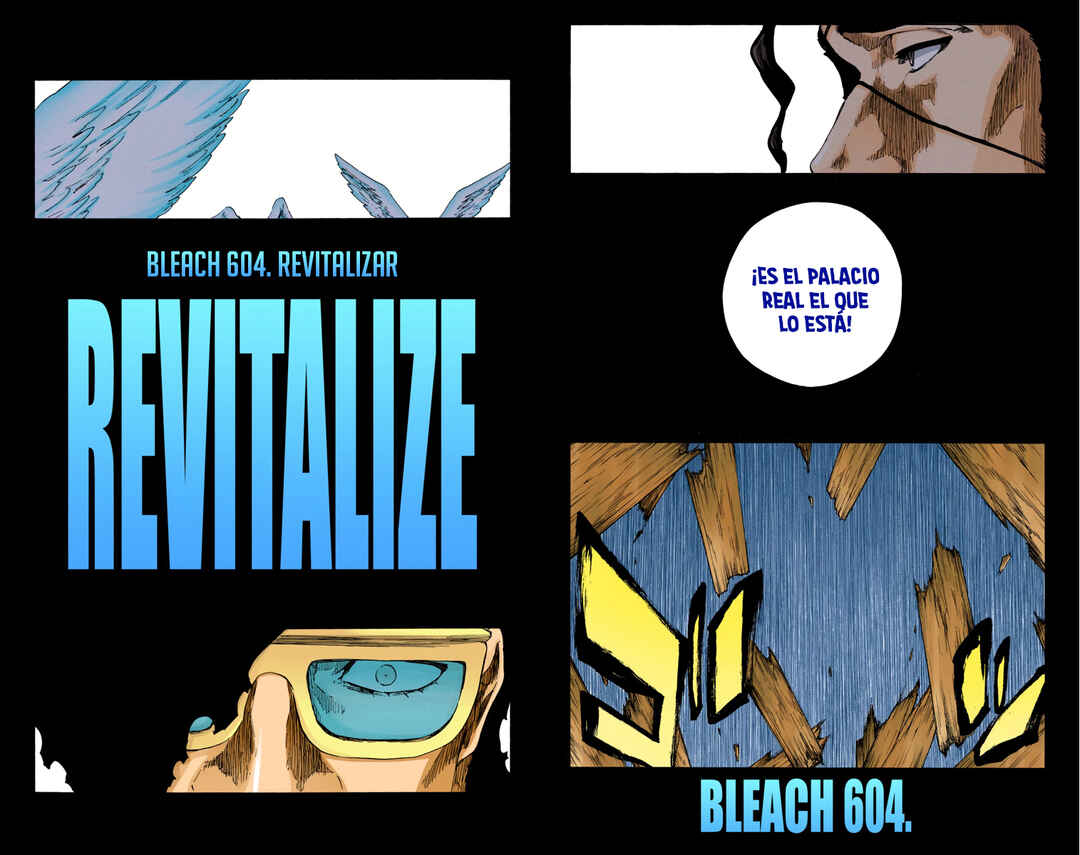 Bleach (Official Colored) Chapter 604 - Page 7