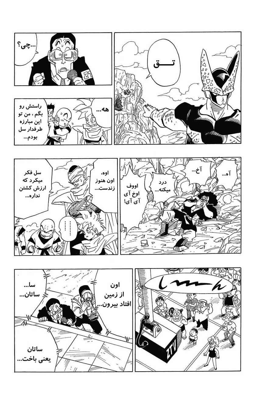 Dragon Ball Chapter 396 - Page 13