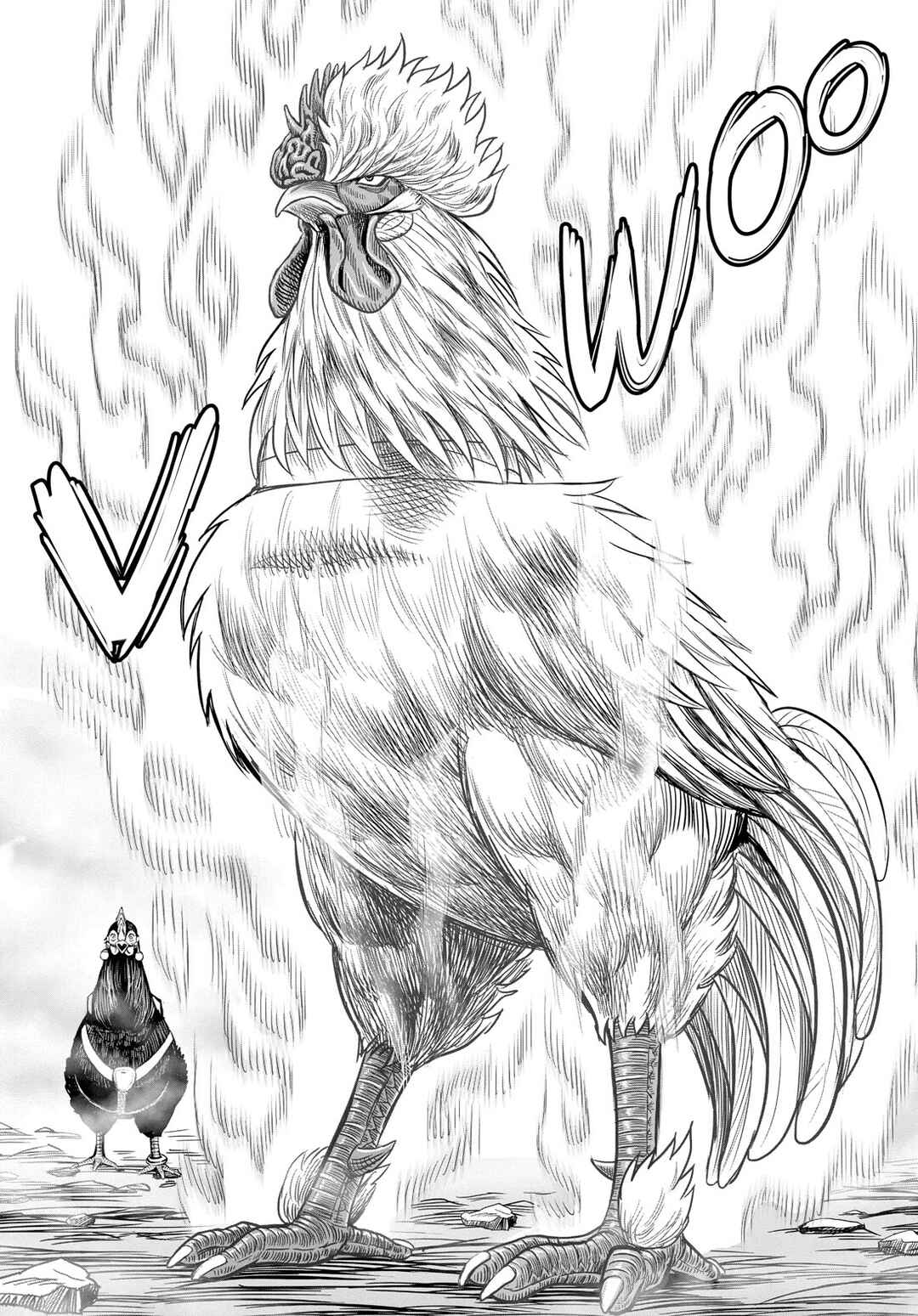 Niwatori Fighter Chapter 27 - Page 52