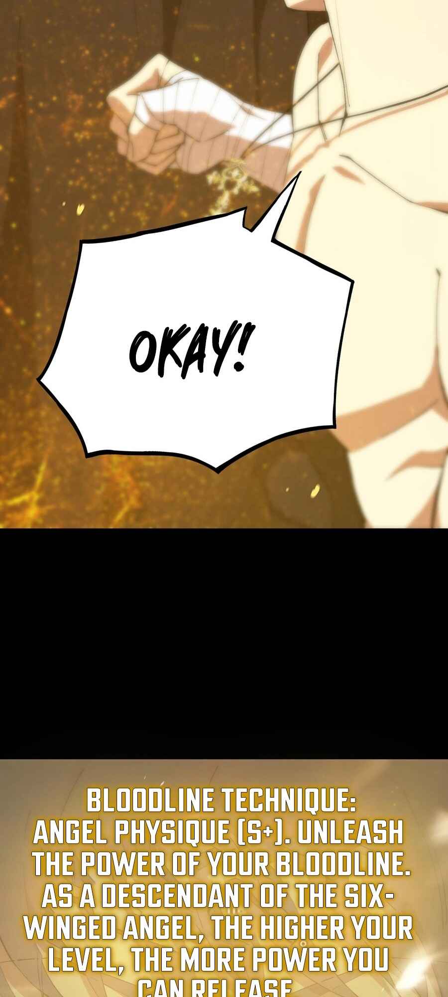 SSS-Rank Paladin Who Transcends Common Sense Chapter 25 - Page 4