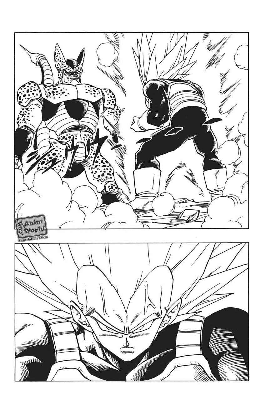 Dragon Ball Chapter 377 - Page 12
