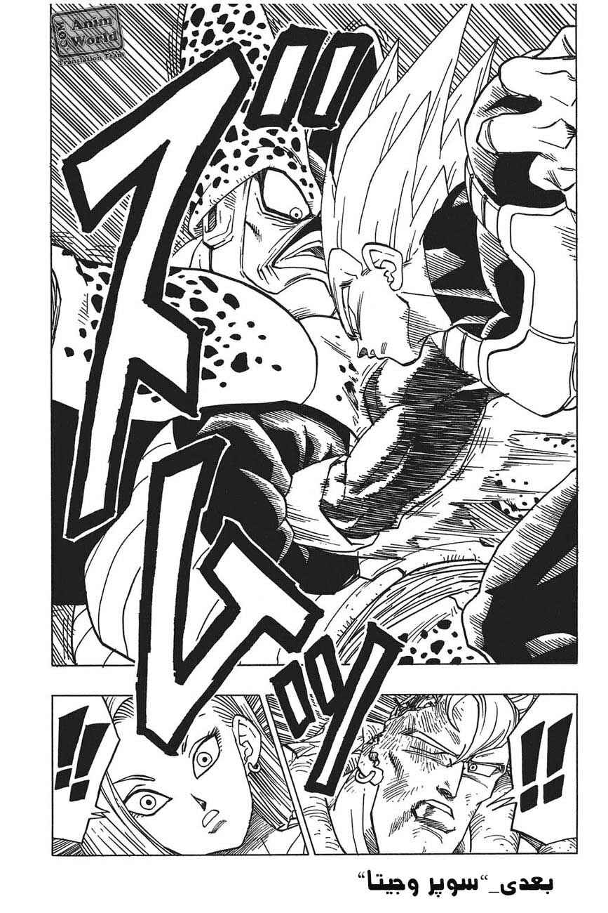 Dragon Ball Chapter 377 - Page 15
