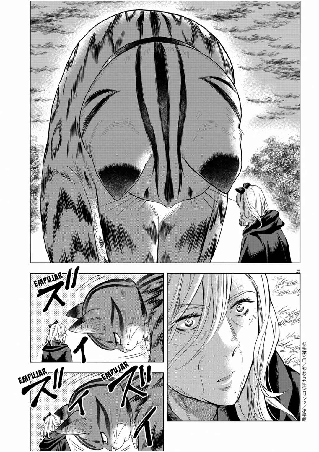 Isekai Neko to Fukigen na Majo Chapter 6 - Page 25