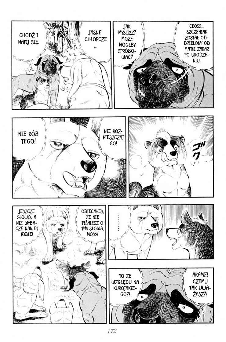 Silver Fang – The Shooting Star Gin – Chapter 34 - Page 12