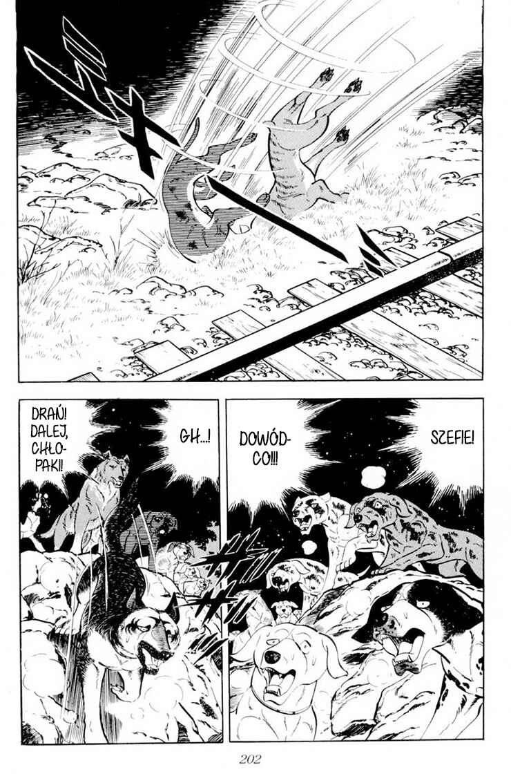 Silver Fang – The Shooting Star Gin – Chapter 34 - Page 42