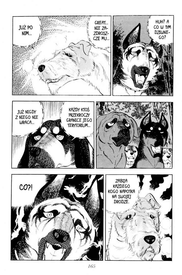 Silver Fang – The Shooting Star Gin – Chapter 34 - Page 5