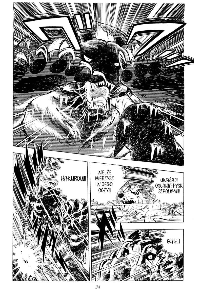 Silver Fang – The Shooting Star Gin – Chapter 37 - Page 31