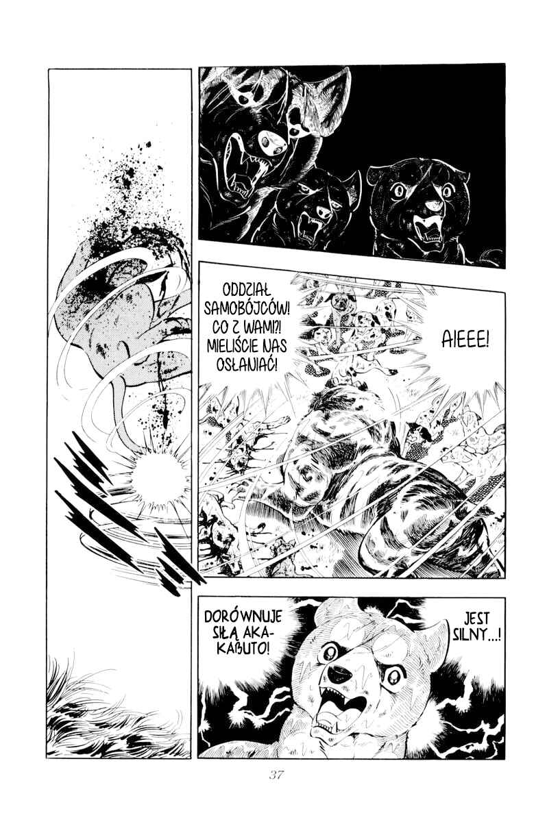 Silver Fang – The Shooting Star Gin – Chapter 37 - Page 34