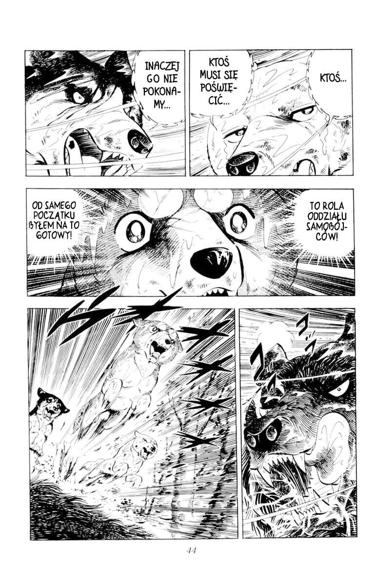 Silver Fang – The Shooting Star Gin – Chapter 37 - Page 41