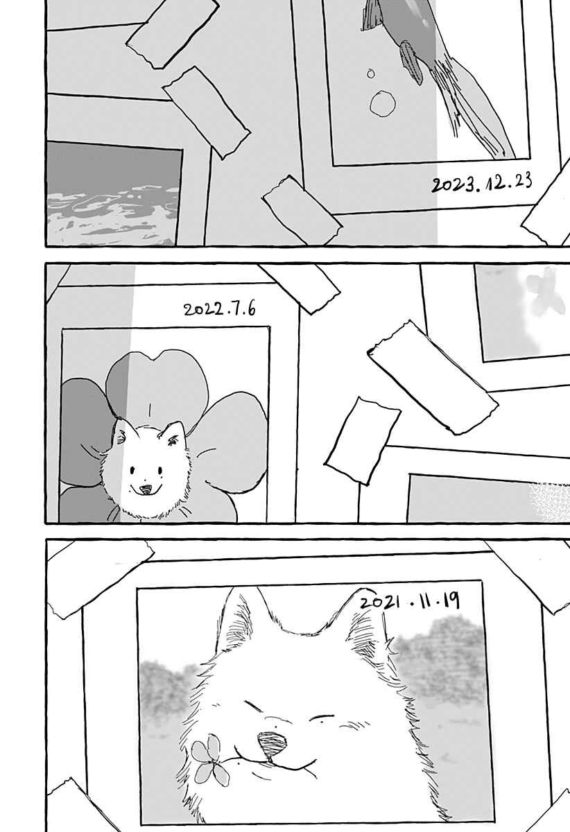 Aoi no Heya ni Mata Haru ga Kita Chapter ? - Page 48