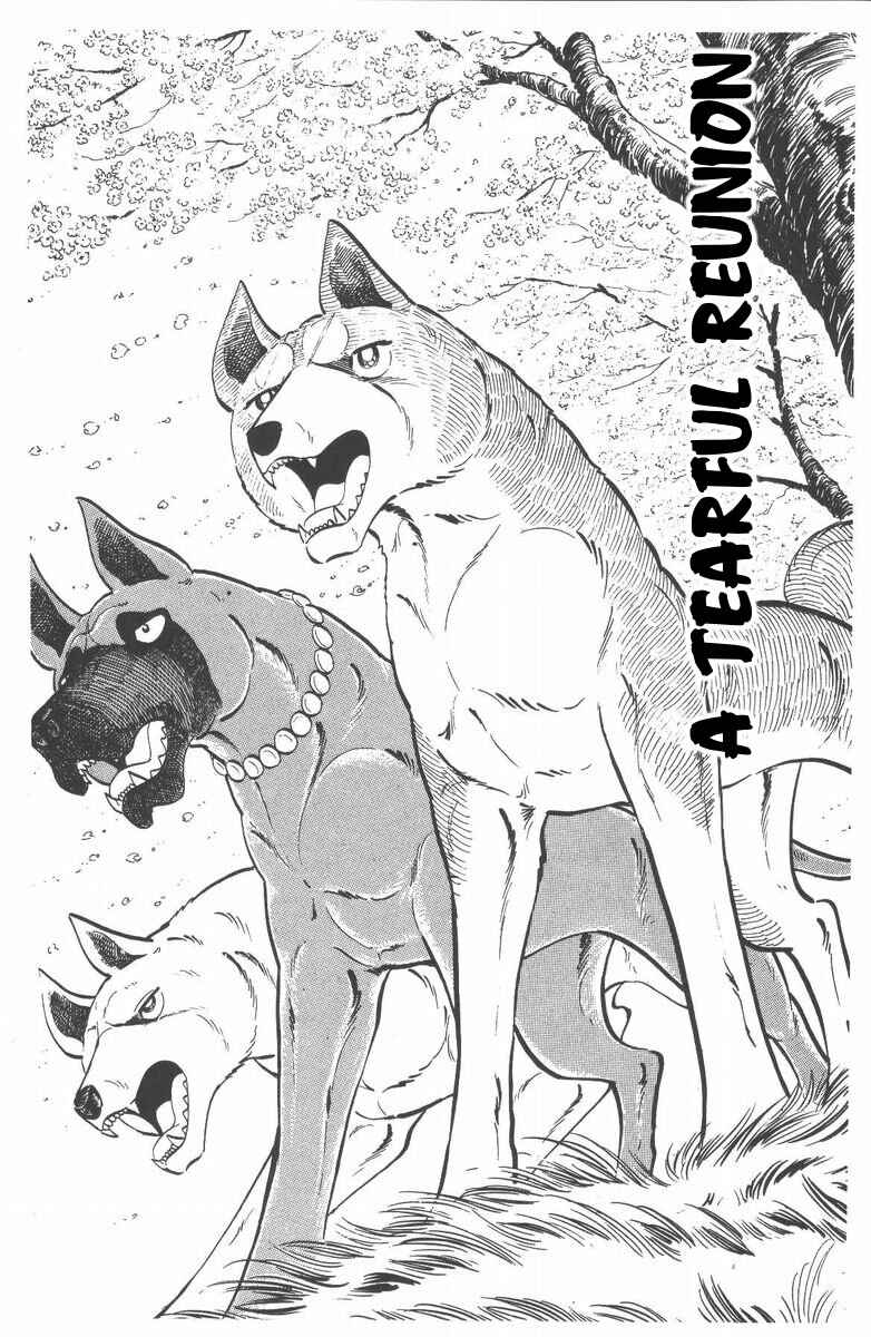 Silver Fang – The Shooting Star Gin – Chapter 55 - Page 1