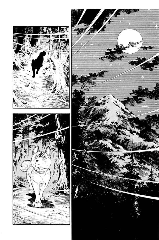 Silver Fang – The Shooting Star Gin – Chapter 10 - Page 11