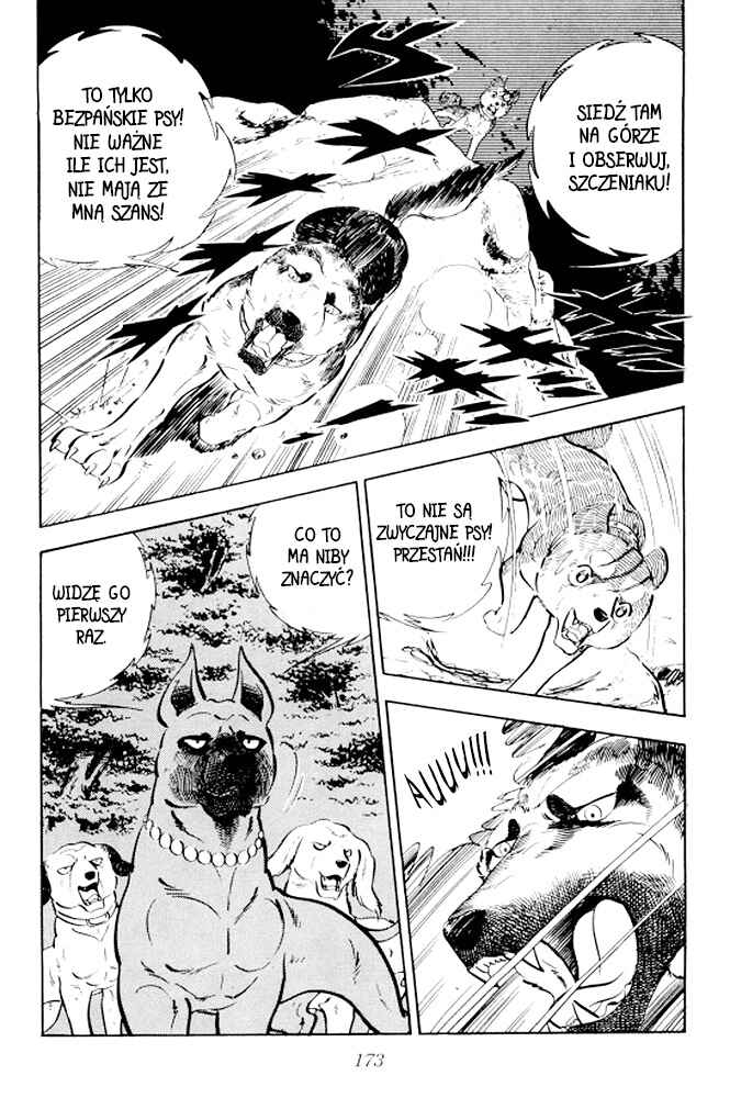 Silver Fang – The Shooting Star Gin – Chapter 10 - Page 16