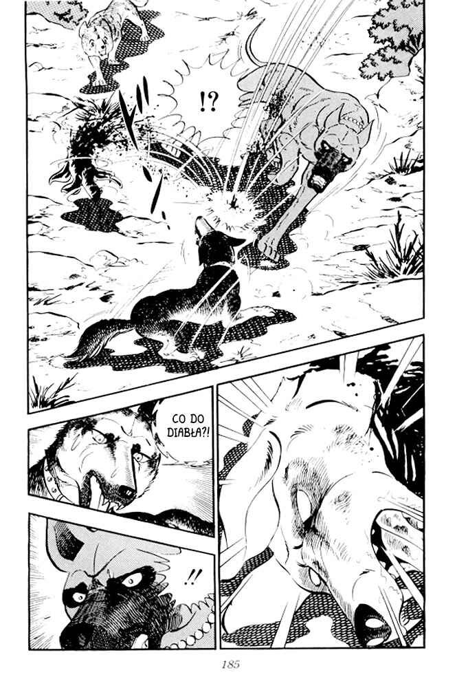 Silver Fang – The Shooting Star Gin – Chapter 10 - Page 28