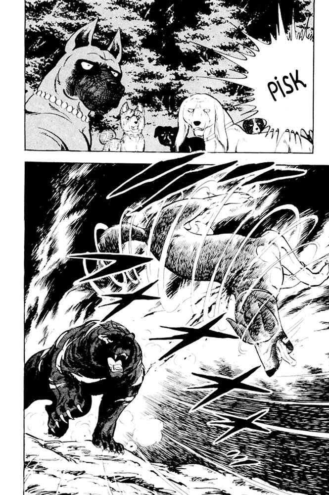 Silver Fang – The Shooting Star Gin – Chapter 10 - Page 43