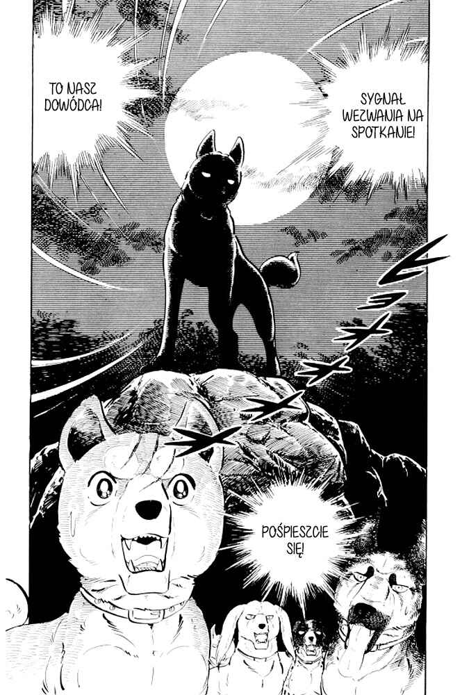 Silver Fang – The Shooting Star Gin – Chapter 10 - Page 62