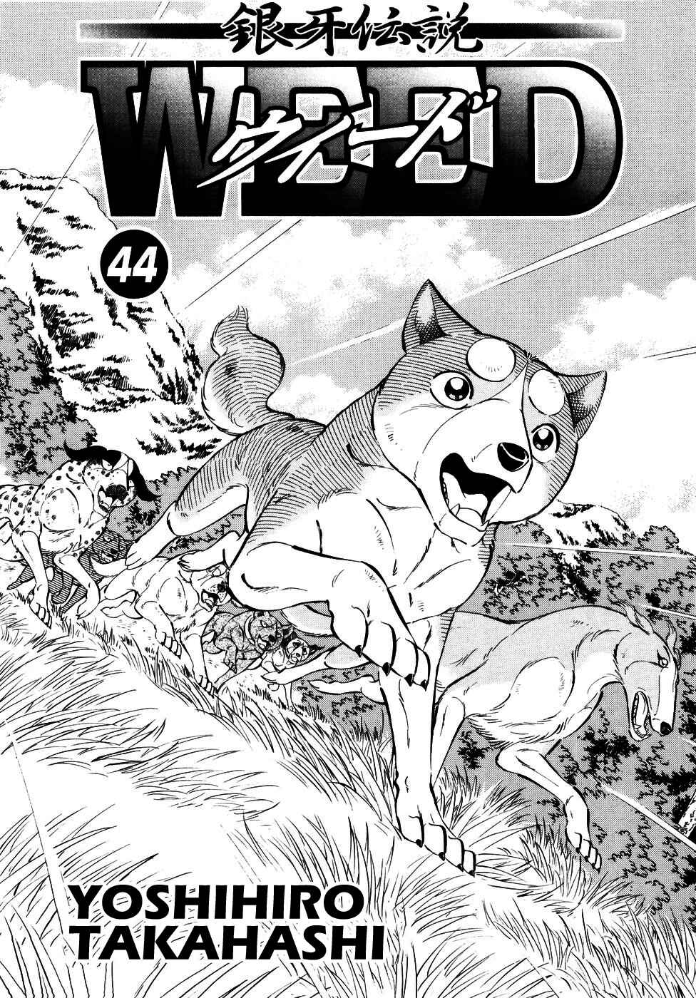 Ginga Densetsu Weed Chapter 364 - Page 4