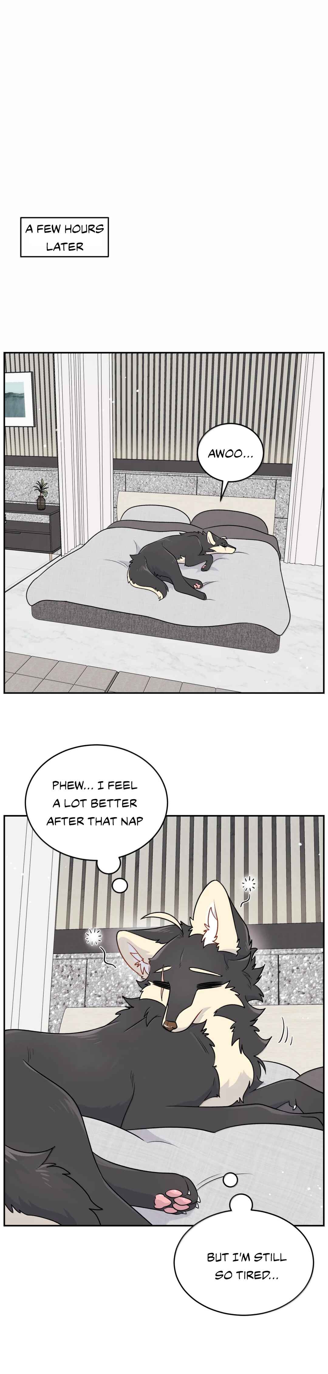 Wǒ de shíwù kàn qǐlái hěn kě'ài' Chapter 192 - Page 20