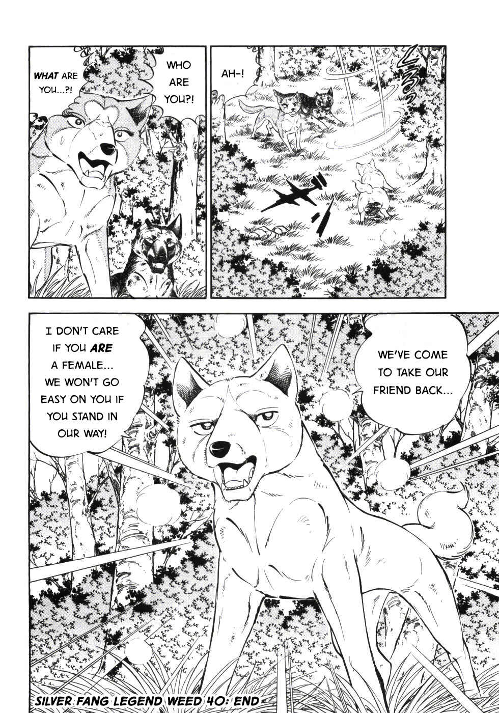 Ginga Densetsu Weed Chapter 339 - Page 21
