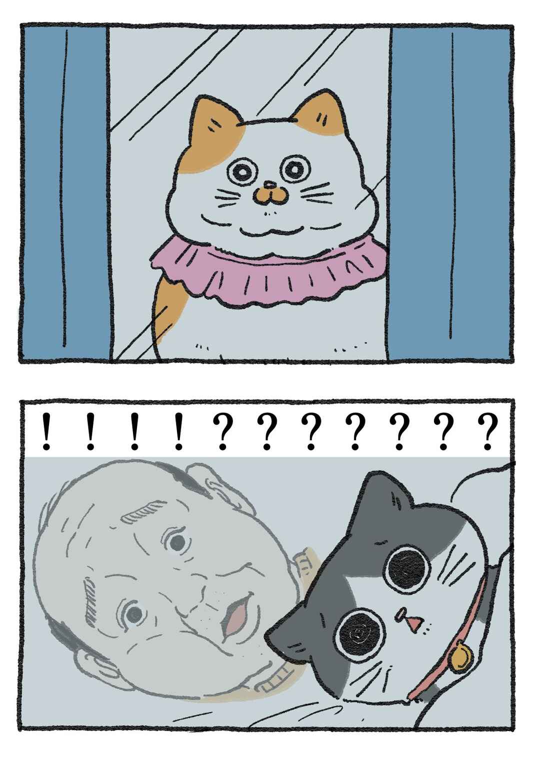 Neko Oji: Salaryman reincarnated as a kitten! Chapter 29 - Page 2