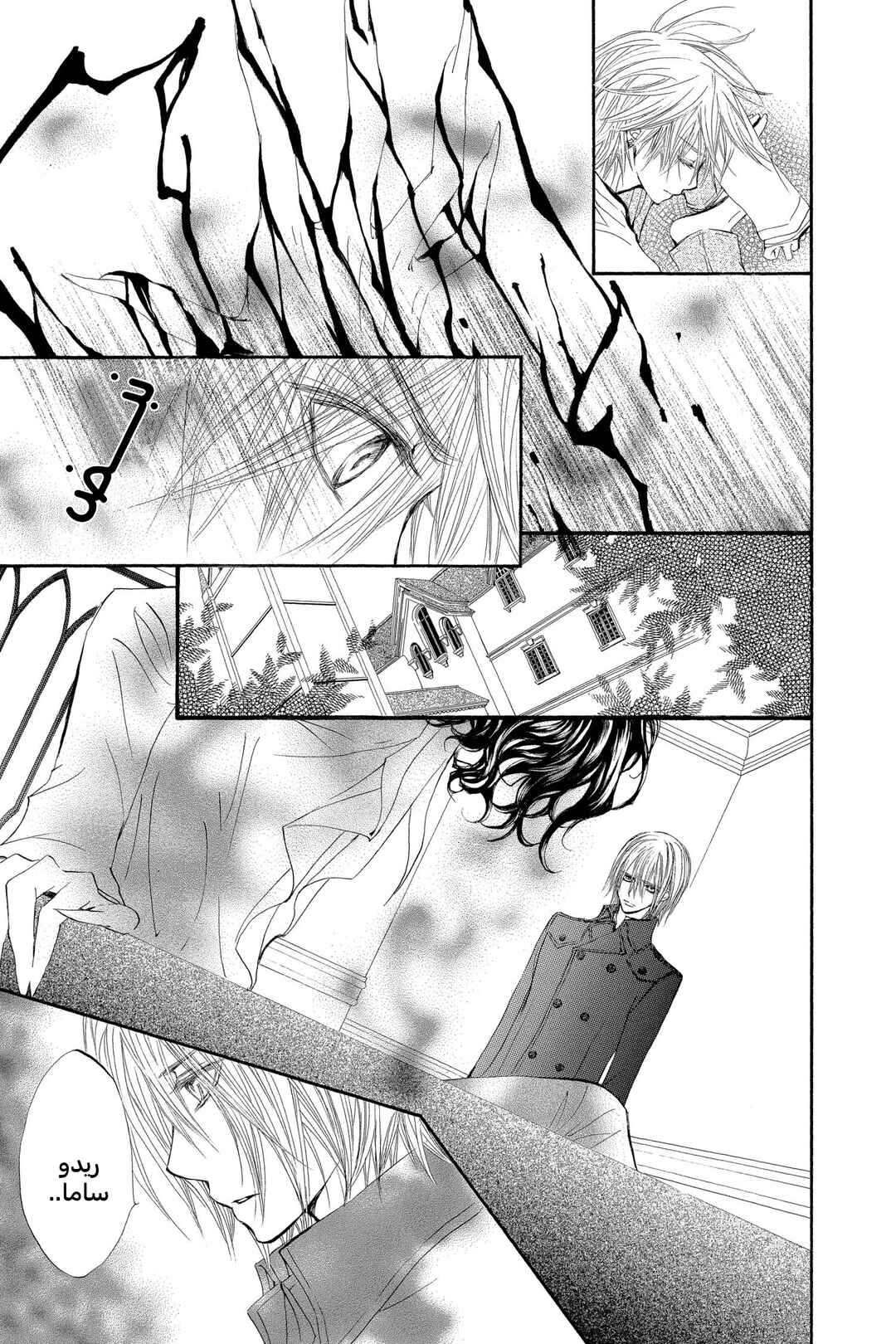 Vampire Knight Chapter 39 - Page 19