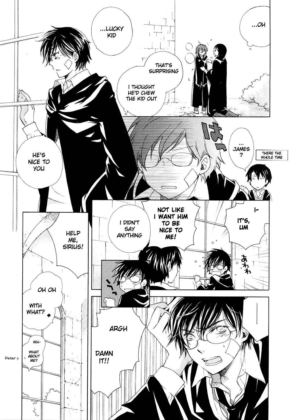 Harry Potter - The World (Doujinshi) Chapter 1 - Page 10