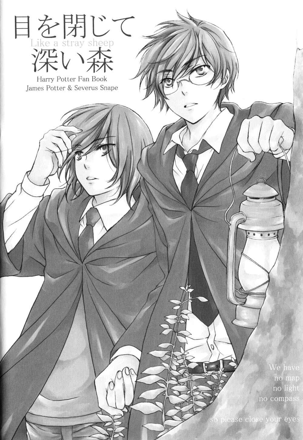 Harry Potter - The World (Doujinshi) Chapter 1 - Page 3