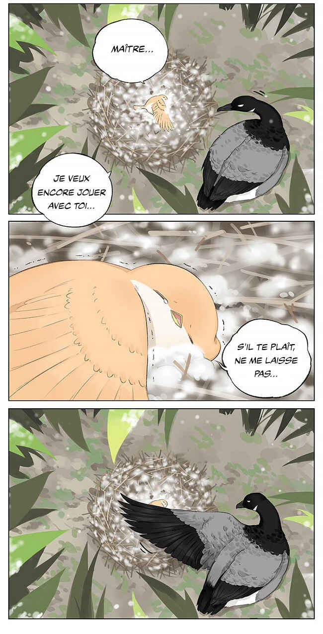 Southern Bird and Northern Bird Chapter 5 - Page 4