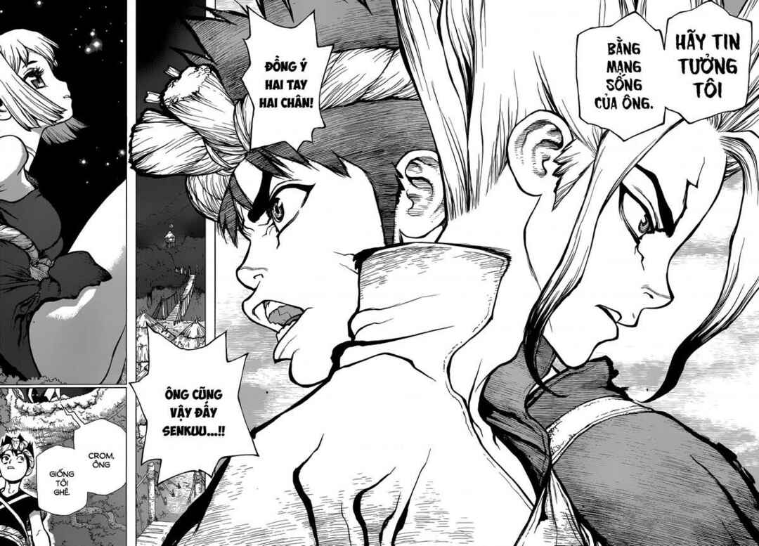 Dr.STONE Chapter 31 - Page 14