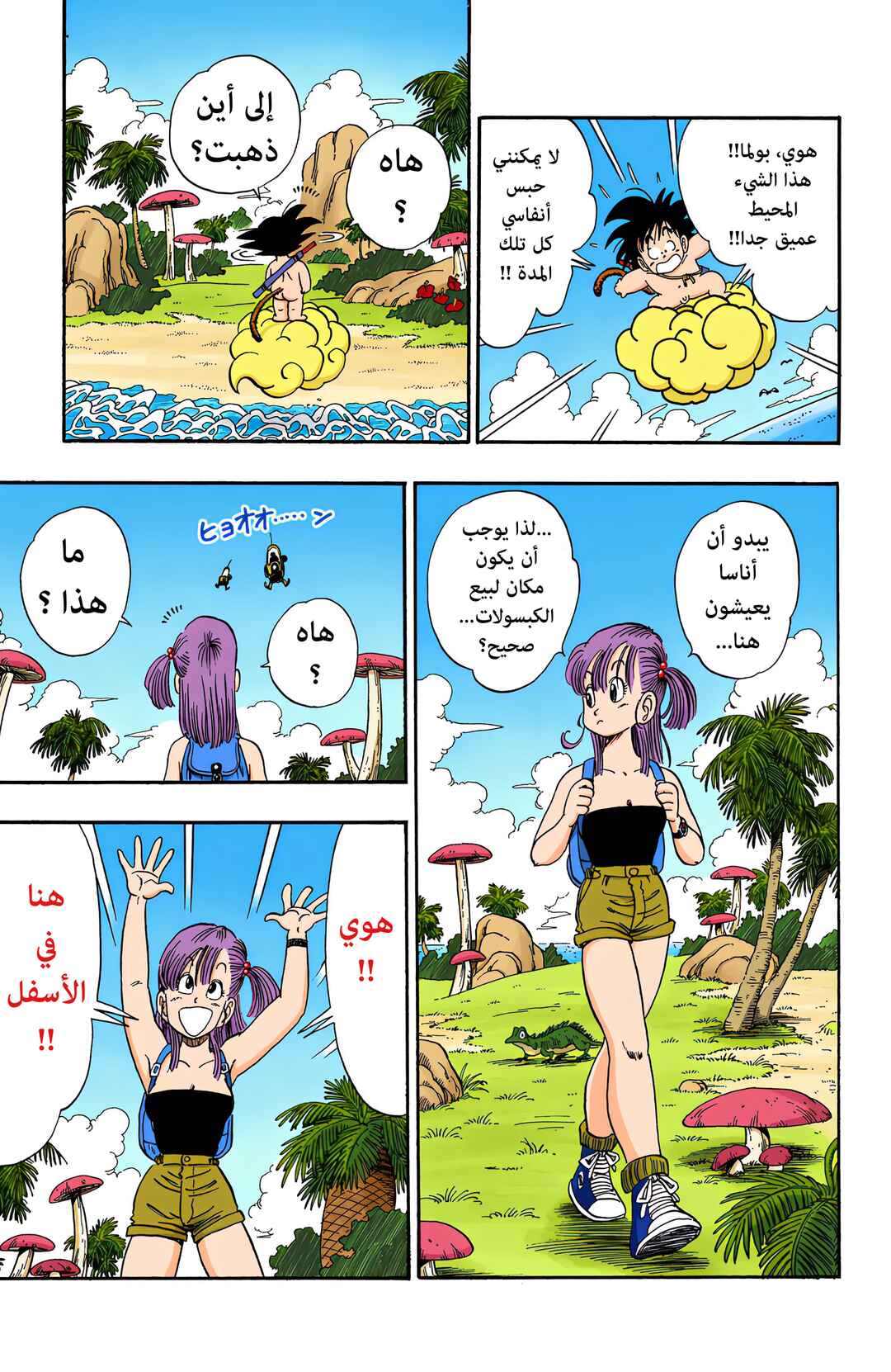 Dragon Ball (Official Colored) Chapter 70 - Page 10