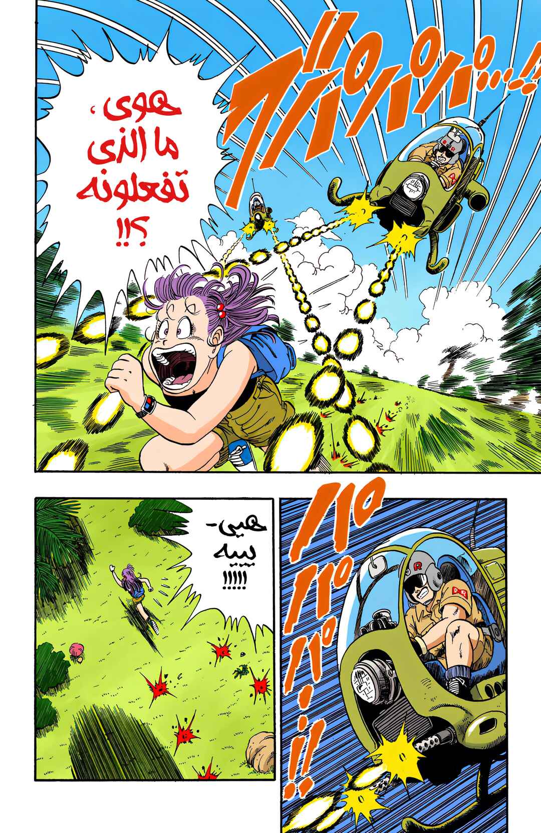 Dragon Ball (Official Colored) Chapter 70 - Page 11