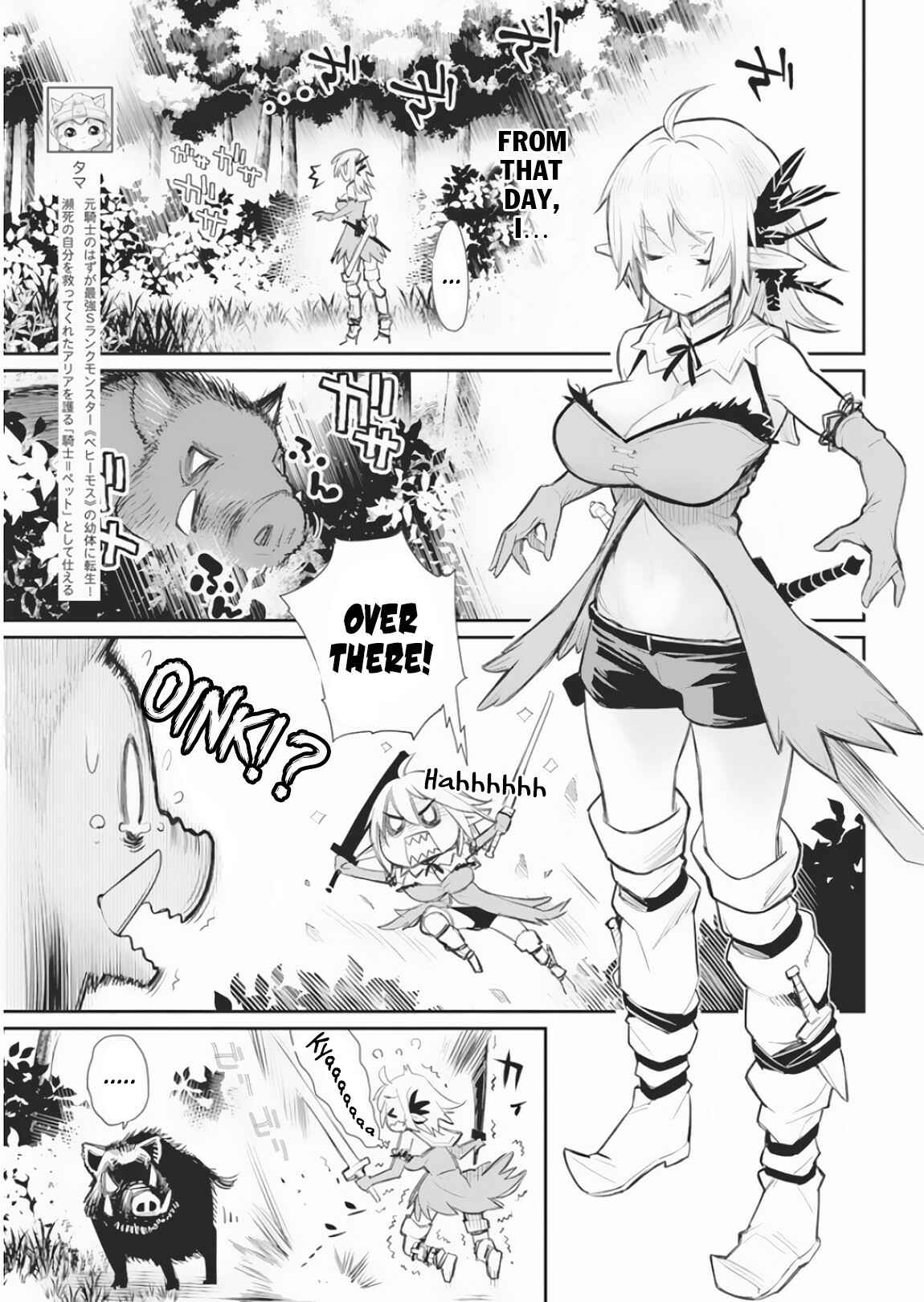 S-Rank Monster no "Behemoth" dakedo, Neko to Machigawarete Elf Musume no Pet to Shite Kurashitemasu Chapter 17 - Page 5