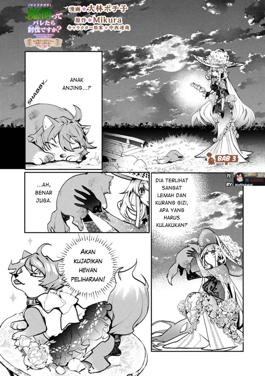 Mandragora tte Baretara Toubatsu desu ka?: Hana no Majo no Hohoemi wa Kanchigai no Tane o Maku Chapter 3.1 - Page 3