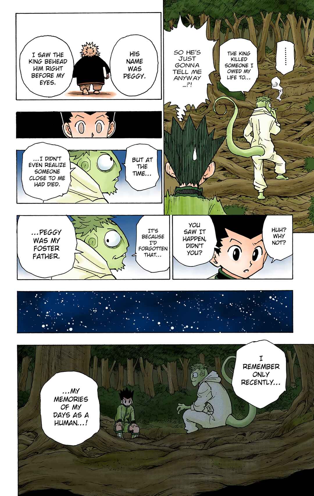 Hunter x Hunter (Official Colored) Chapter 242 - Page 12