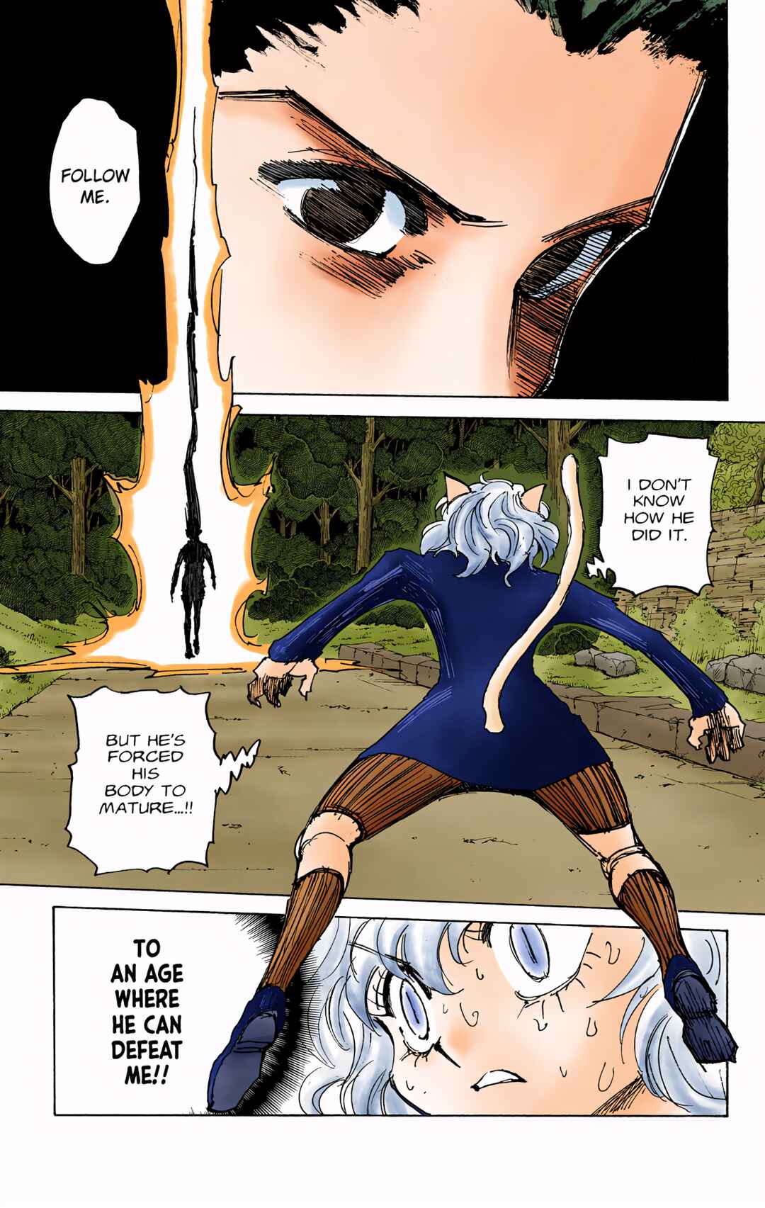 Hunter x Hunter (Official Colored) Chapter 306 - Page 6