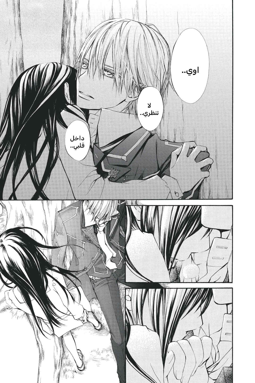 Vampire Knight Chapter 74 - Page 11