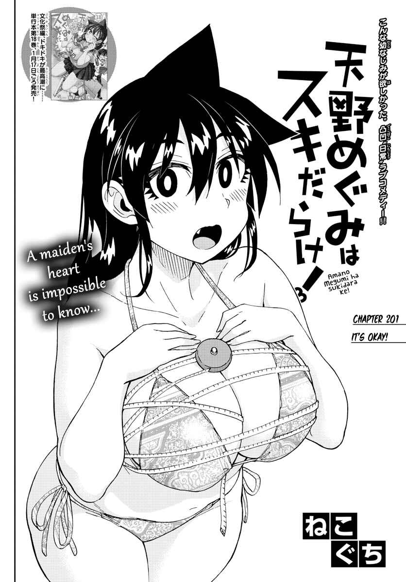 Amano Megumi wa Sukidarake! Chapter 201 - Page 2