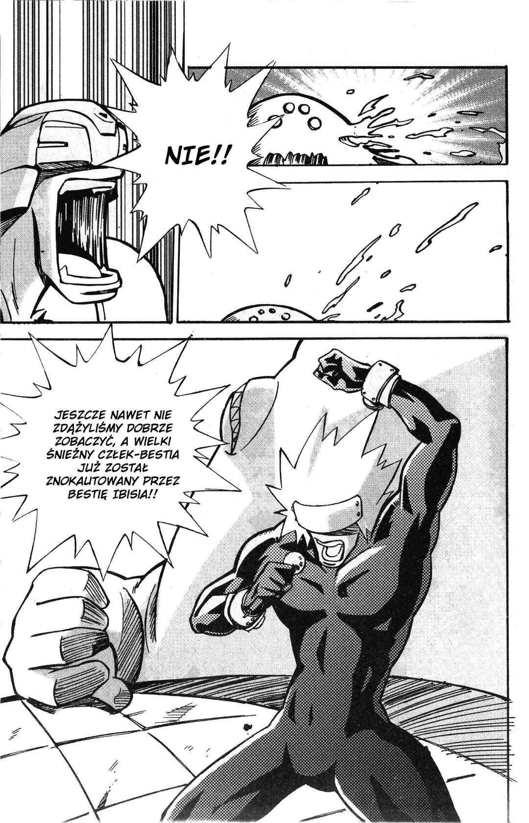 Digimon Legendary Skies Chapter 7 - Page 16
