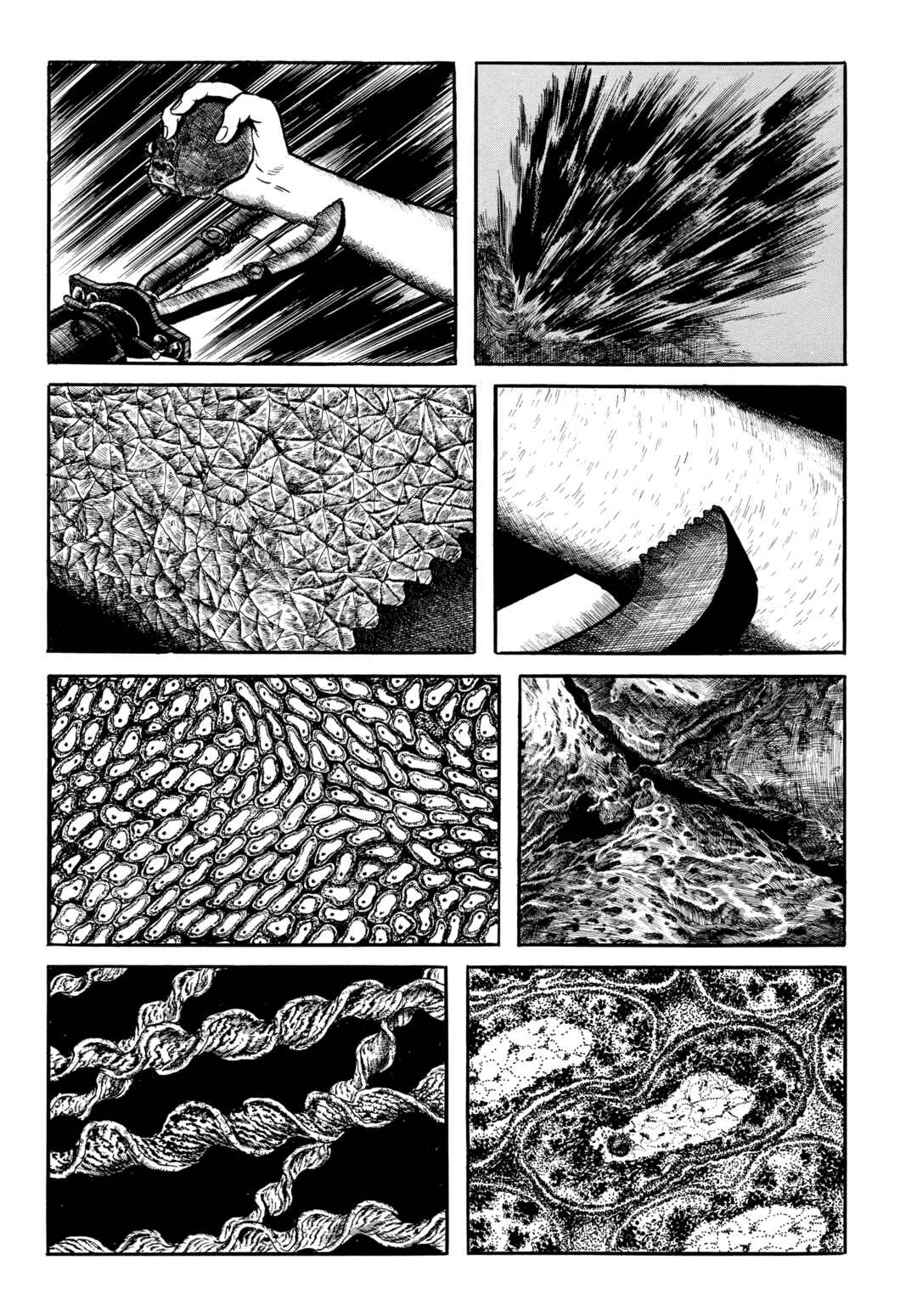 My Name Is Shingo Chapter 61 - Page 12