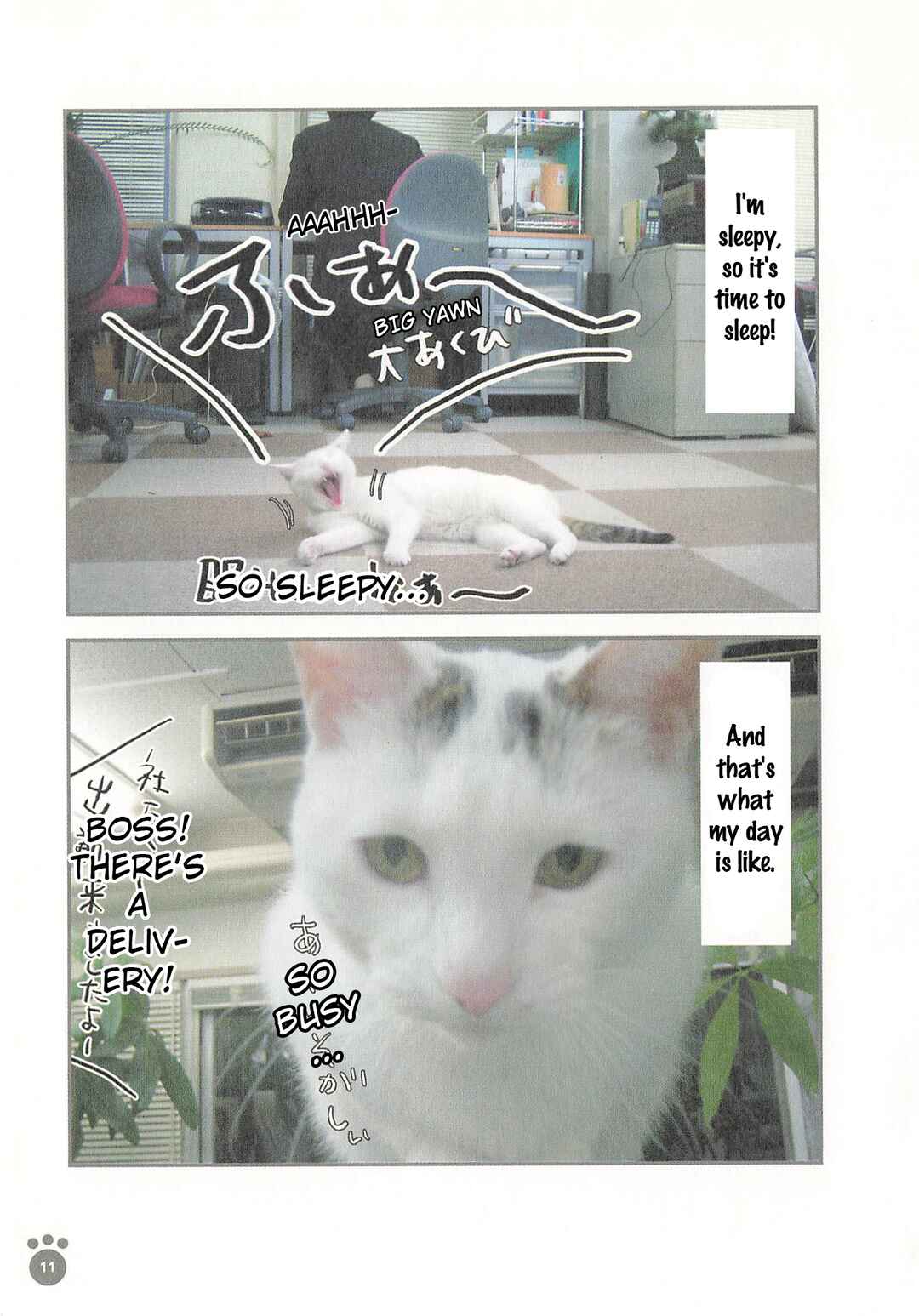 Sukeban Shachou Rena Chapter 1 - Page 10