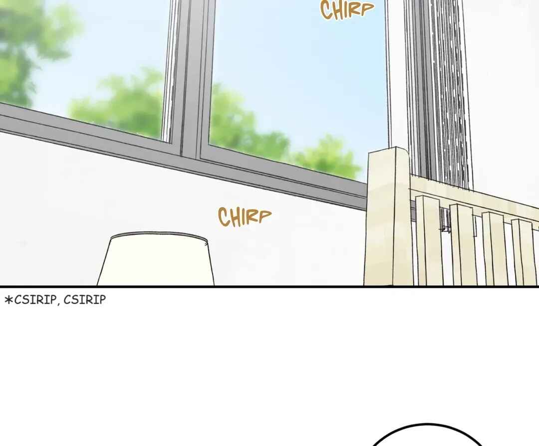 Our Sunny Days Chapter 38 - Page 2