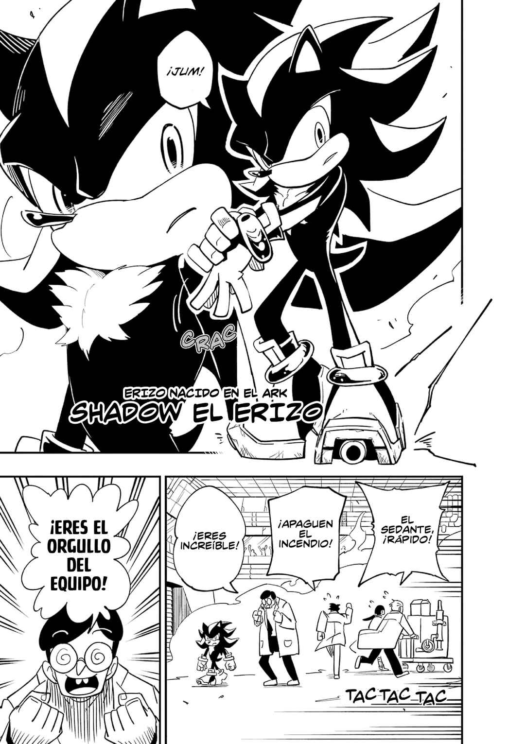 The Jet Black Hedgehog: Shadow the Hedgehog Chapter 1 - Page 7