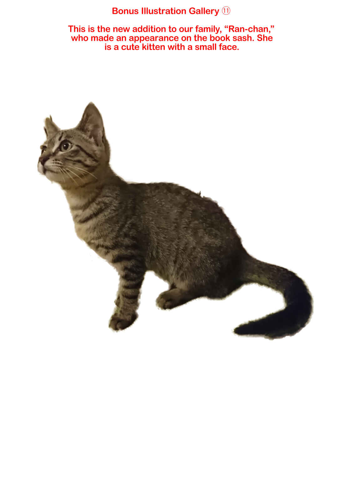 2200 Nen Neko no Kuni Nippon Chapter 35.5 - Page 16